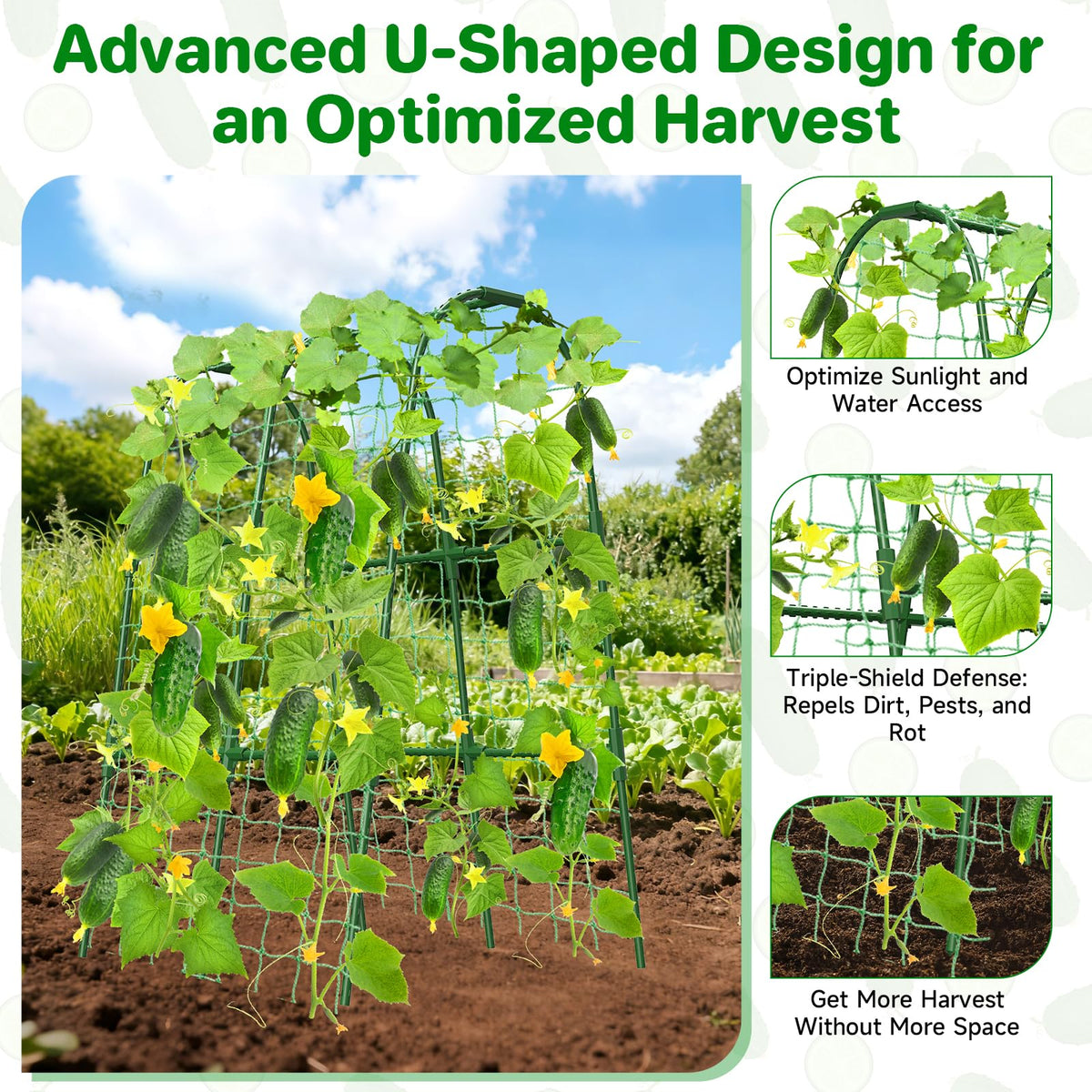 MYMULIKE u-shaped plant support improves air flow and light exposure.