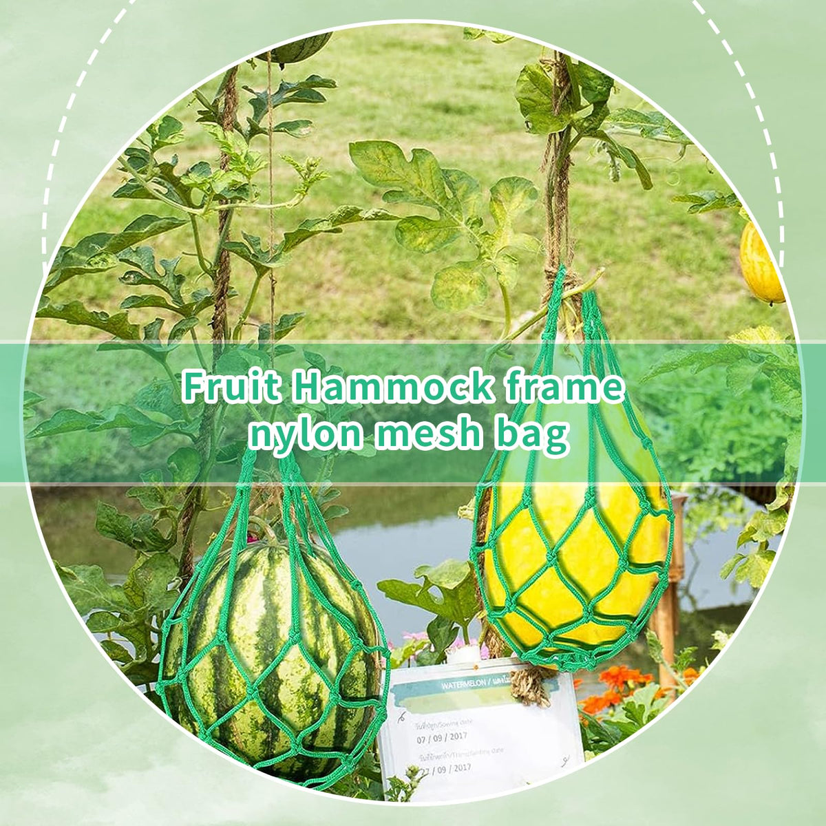 MYSENLAN green nylon melon hammock offers sturdy fruit support
