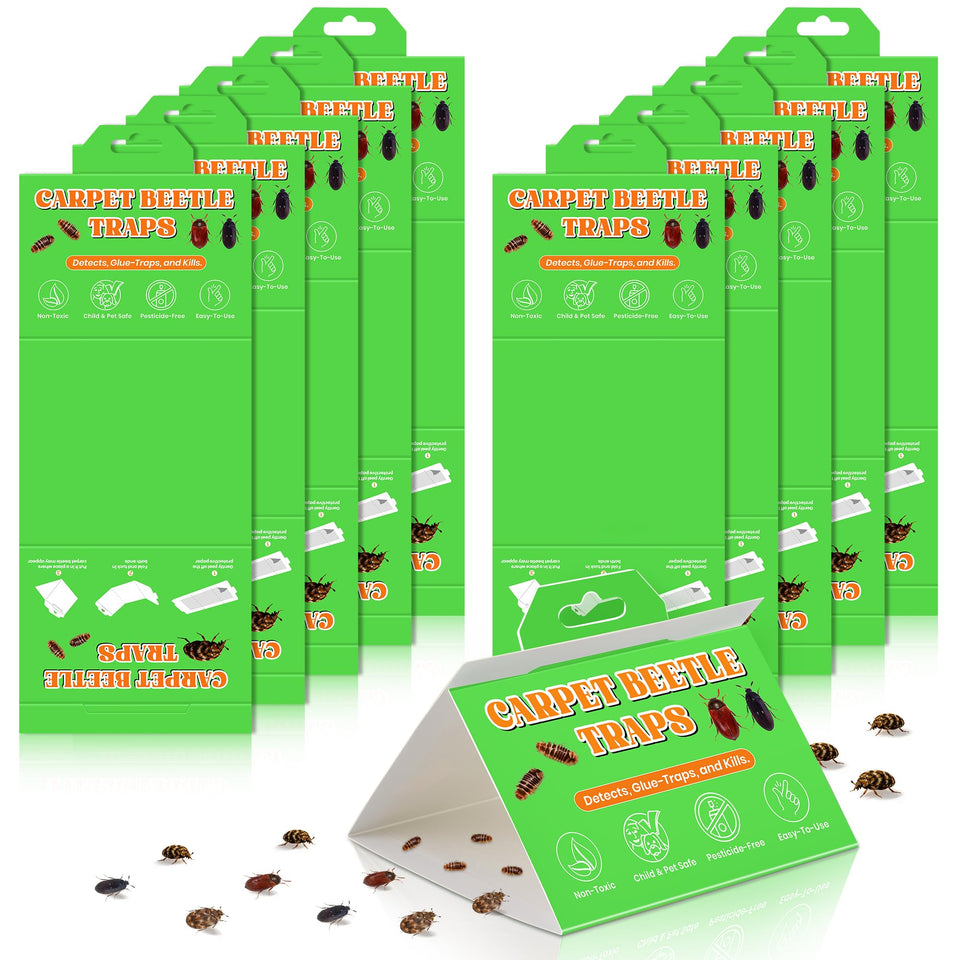 Mysora carpet beetle trap with sticky glue captures beetles indoors for easy monitoring.