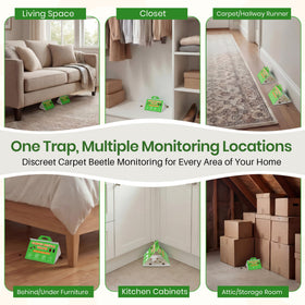Mysora closet, kitchen, and storage area trap reduces fabric pest activity.