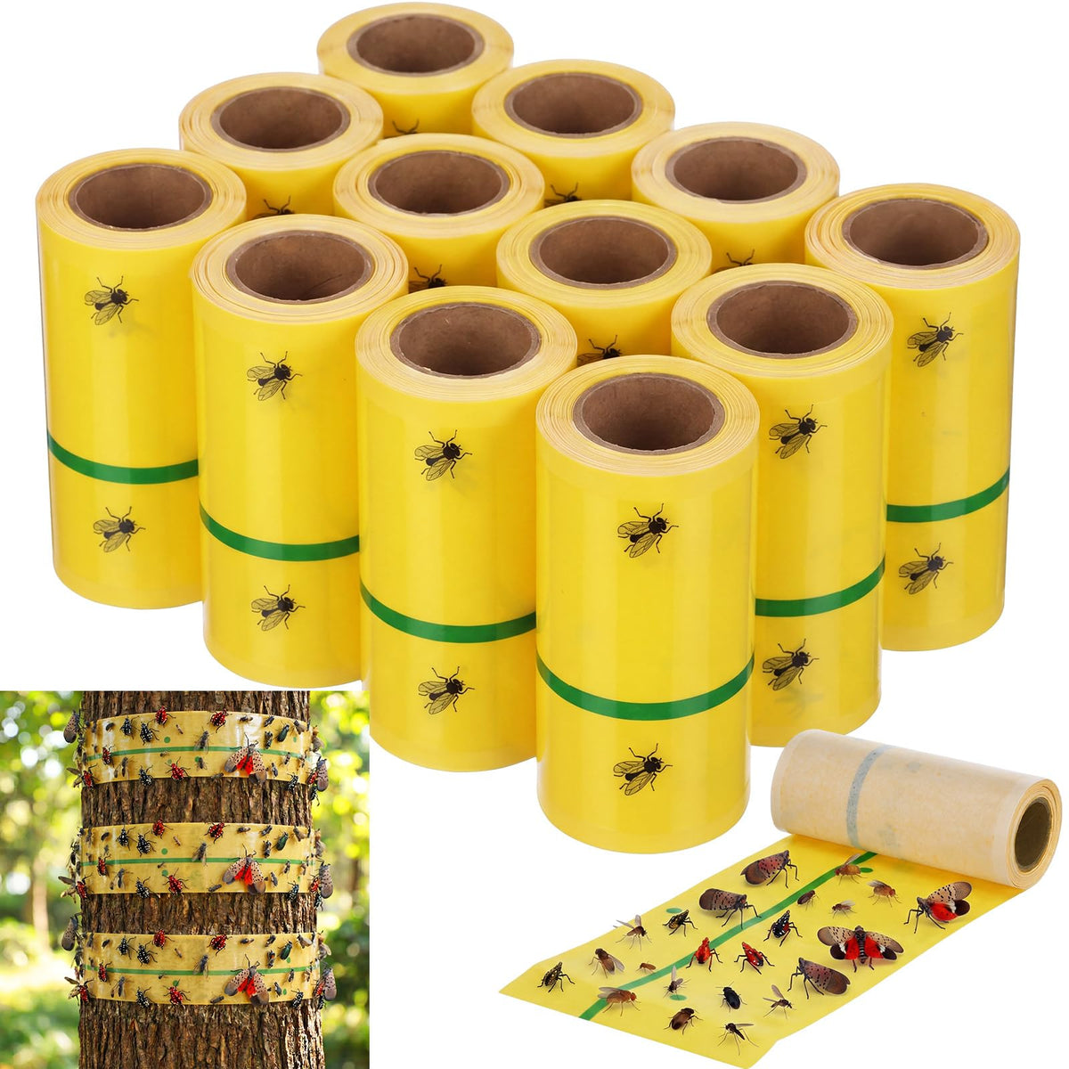 Mysora front packaging showing 12 rolls and product benefits