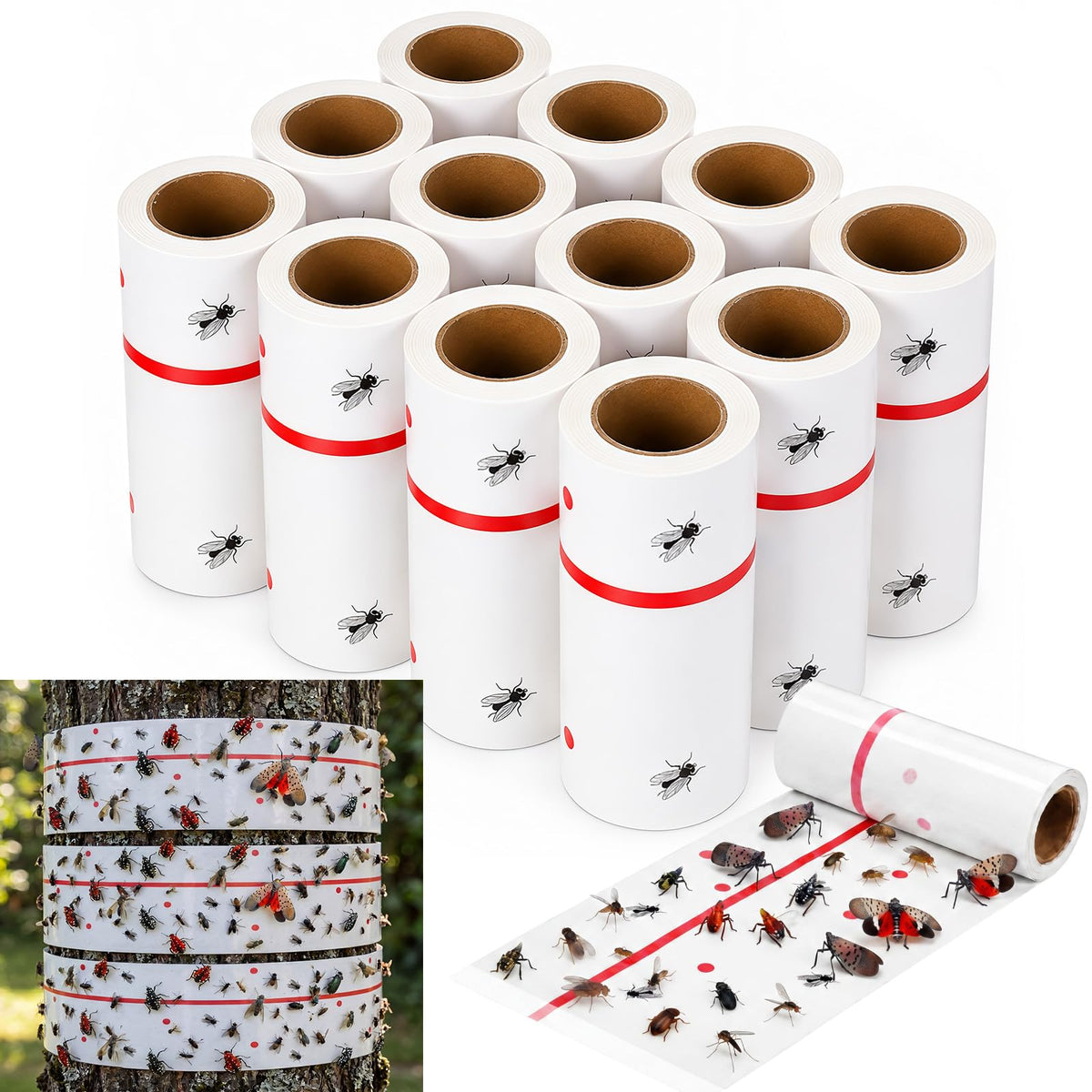 Mysora front packaging showing 12 rolls and product benefit of bulk supply