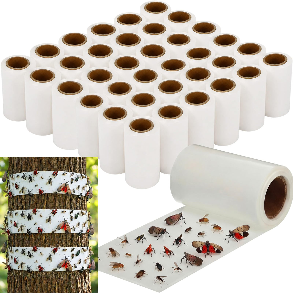 Mysora front packaging showing 36 rolls and bulk value benefit