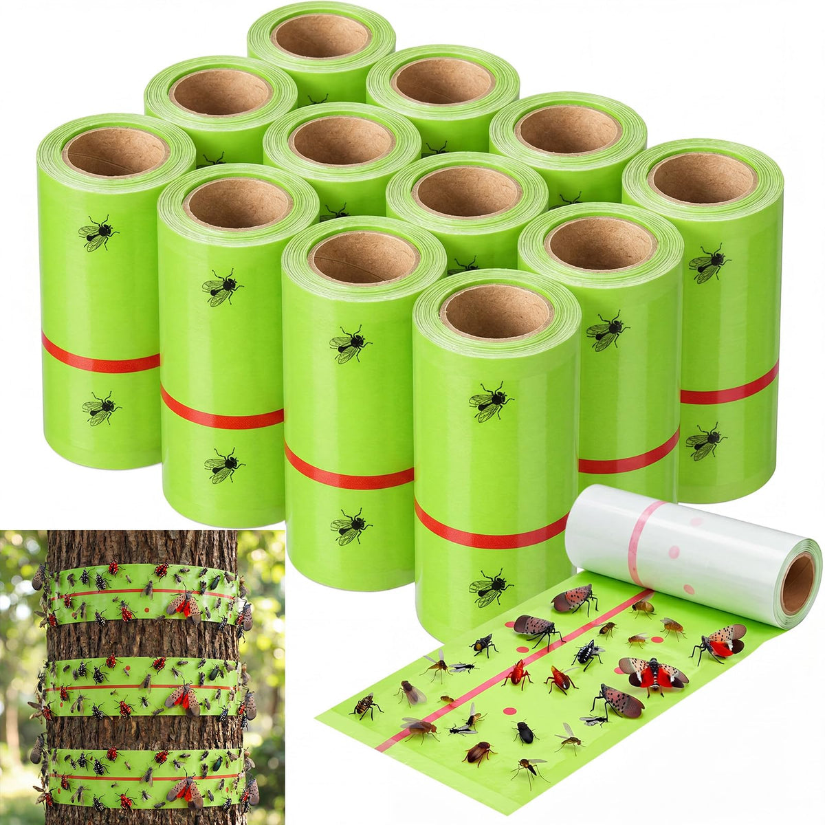 Mysora front packaging showing 12 green trap rolls protecting trees