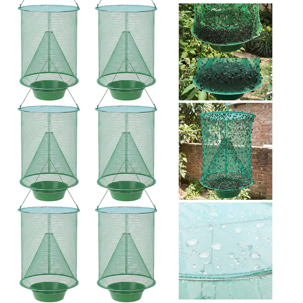 Mysora front view of six-pack traps showing included units and hanging hooks, clear coverage