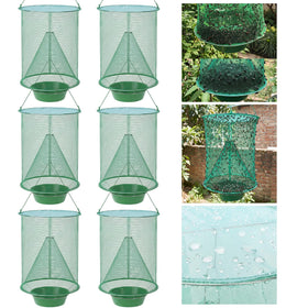 Mysora front view of six-pack traps showing included units and hanging hooks, clear coverage