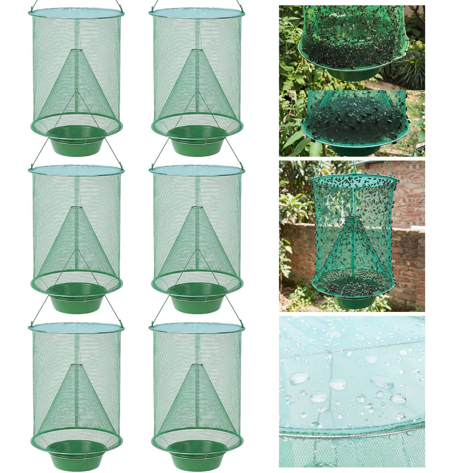 Mysora front view of six-pack traps showing included units and hanging hooks, clear coverage