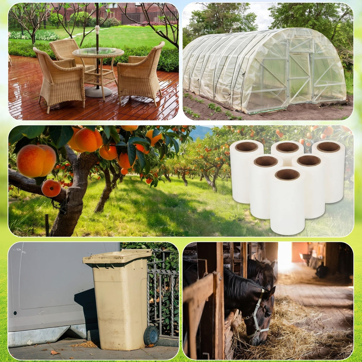 Mysora tree wraps used in backyard orchard, visible pest monitoring benefit