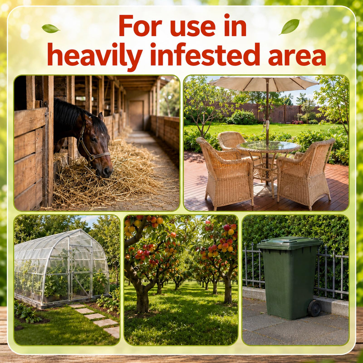 Mysora trap in garden setting capturing pests and protecting fruit