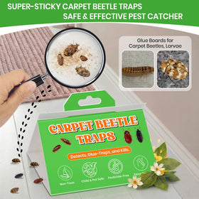 Mysora indoor monitoring trap tracks carpet beetle activity over time.