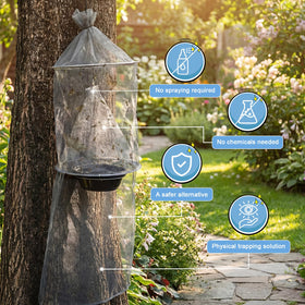 Mysora trap wrapped around tree trunk demonstrating secure installation benefit