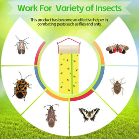 Mysora label with fluorescent yellow and green lines for better attraction