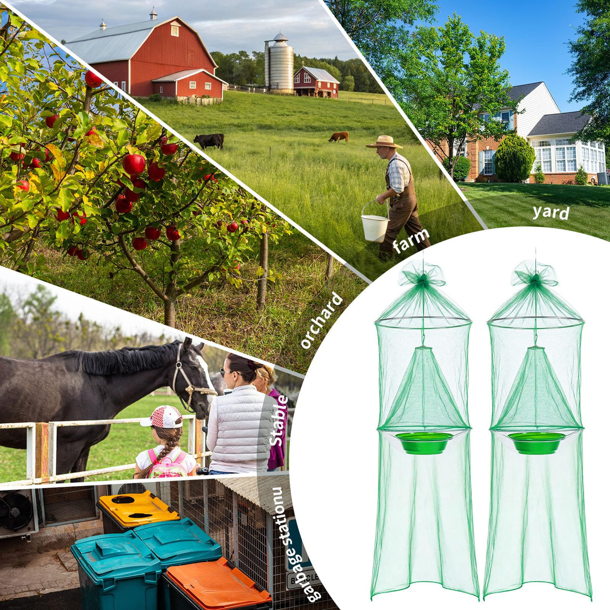 Mysora trap mounted in garden illustrating multiple-tree protection for yards and orchards
