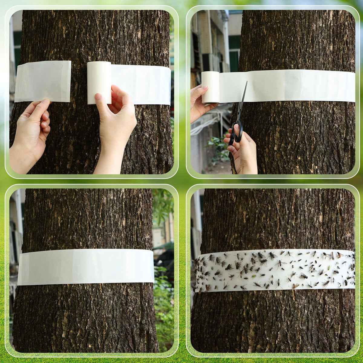 Mysora roll beside a ruler showing thirty feet length benefit
