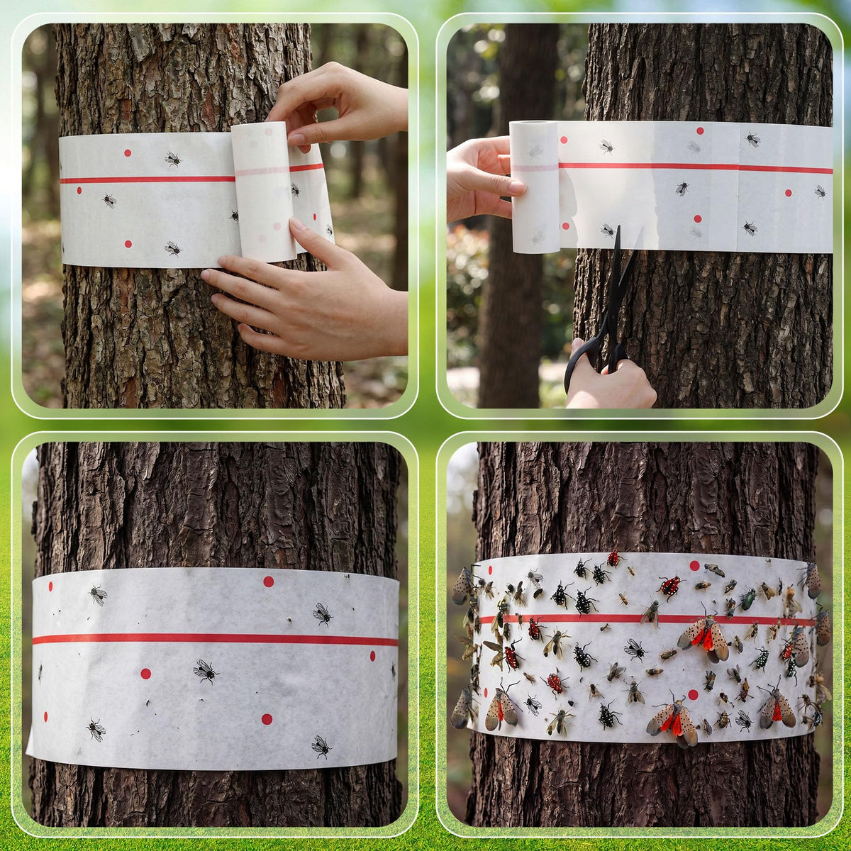 Mysora roll beside measuring tape illustrating 5-inch by 30-foot size