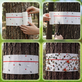 Mysora roll beside measuring tape illustrating 5-inch by 30-foot size