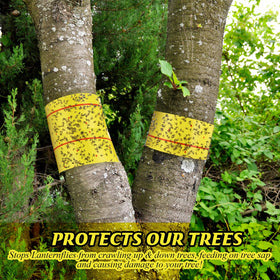 Mysora roll wrapped on tree trunk demonstrating easy install and pest interception benefit