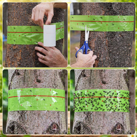 Mysora roll wrapped on a tree trunk demonstrating easy installation