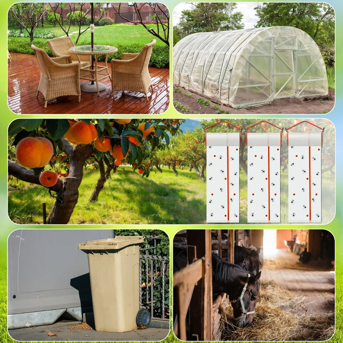 Mysora in stable lifestyle scene protecting animals and stored feed