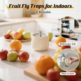 Mysora trap positioned near fruit bowls to reduce fly activity in the kitchen