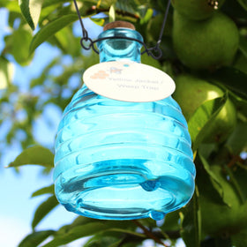 Weather-resistant glass ensures year-round use of Mysora wasp traps.