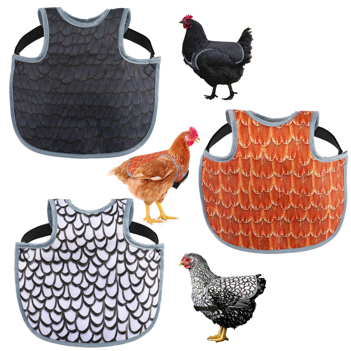 MYWSN chicken saddle back protector shields hens from feather damage
