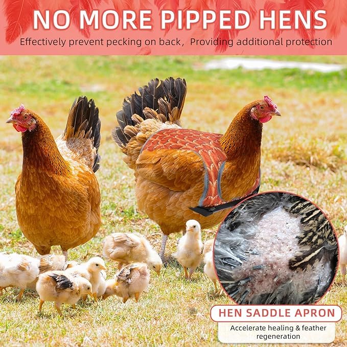 MYWSN chicken saddle safe-fit design protects hens during daily activities