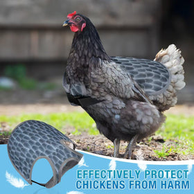 MYWSN chicken saddles adjustable strap securing a hen