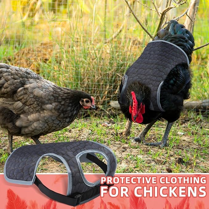 MYWSN Chicken Saddles easy-to-use strap design stays secure during movement.