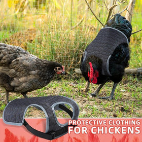 MYWSN Chicken Saddles easy-to-use strap design stays secure during movement.