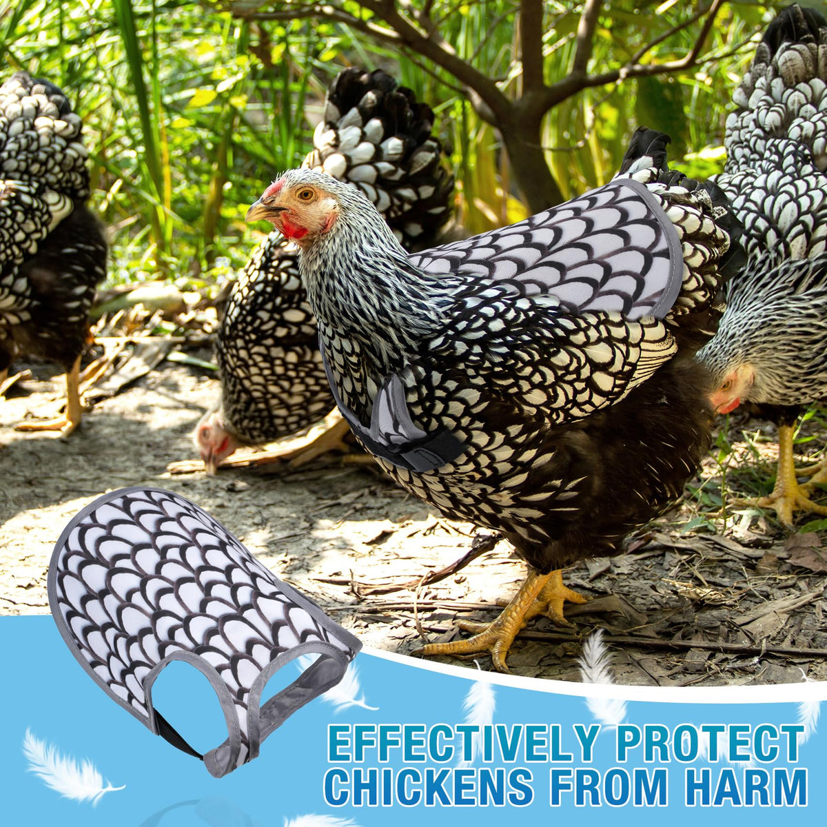 MYWSN chicken saddles secure fit straps on a hen in action
