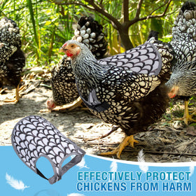 MYWSN chicken saddles secure fit straps on a hen in action