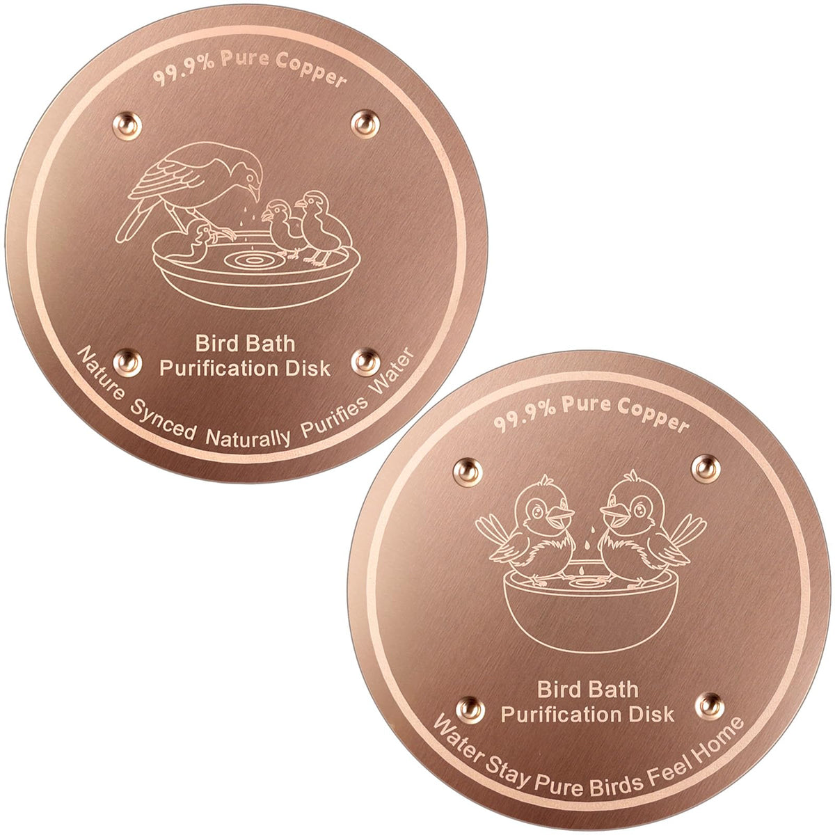 Mzesssmy birdbath copper disc closeup showing pure copper texture for clearer water