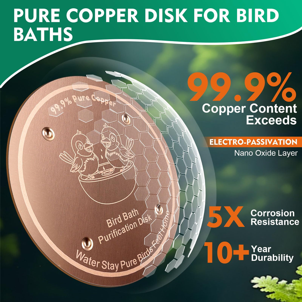 Mzesssmy two-pack copper discs ready for instant setup in any birdbath