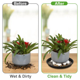 NABAOXUN assorted sizes pack fits ceramic, clay, and plastic pots