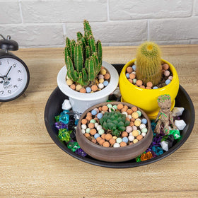 NABAOXUN stackable trays store neatly and cleanly