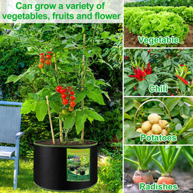 NACHLYNN grow bags ideal for indoor balcony gardening and patio setups.