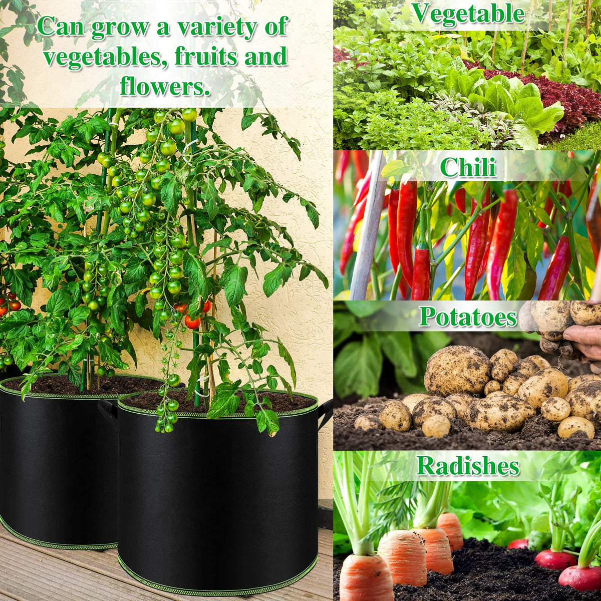 NACHLYNN suitable for indoor and outdoor gardening with versatile placement.
