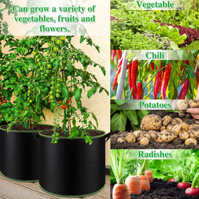 NACHLYNN suitable for indoor and outdoor gardening with versatile placement.