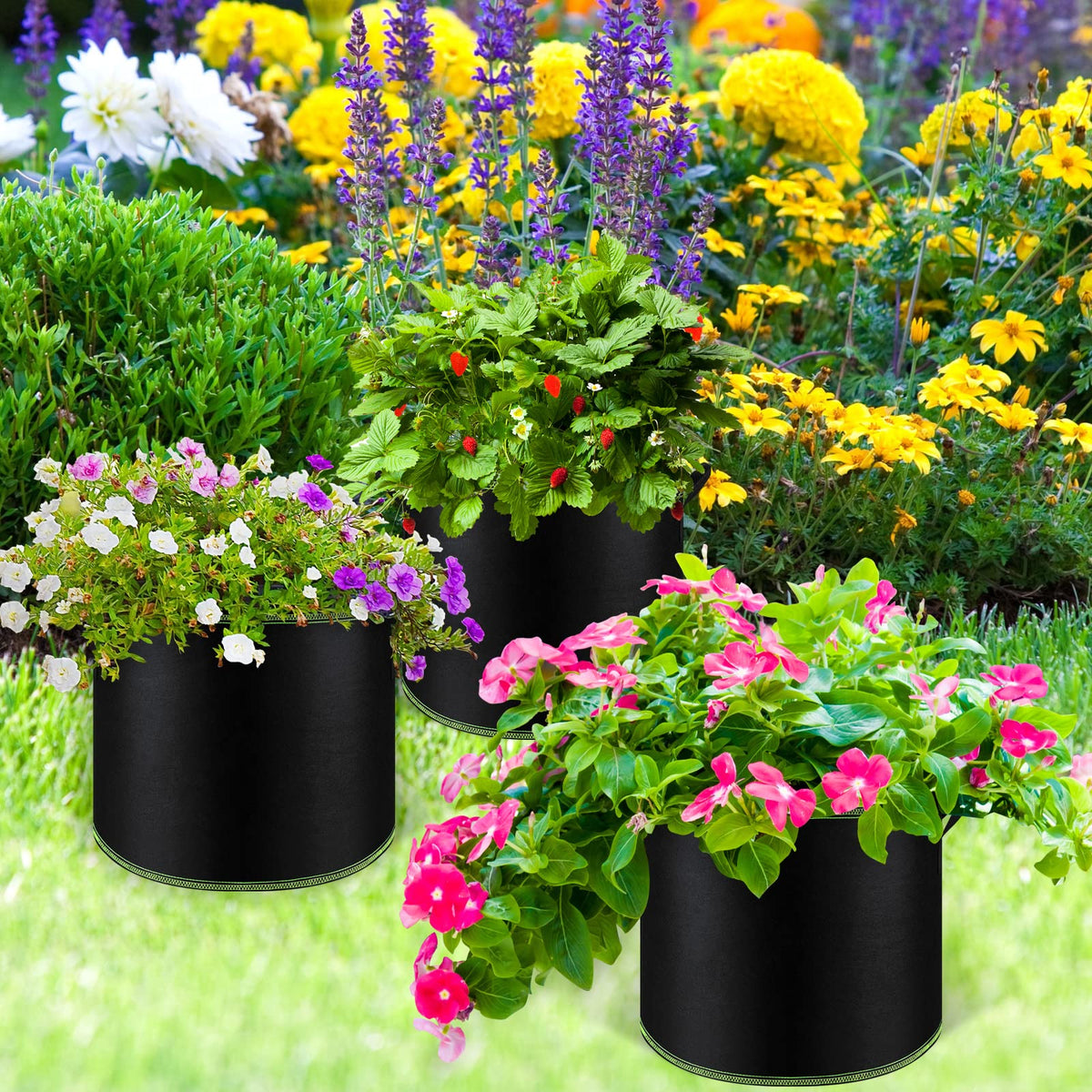 NACHLYNN ideal for balcony gardening of vegetables, fruits, and flowers.