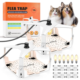 Nacoman flea trap indoors in living room attracting and trapping fleas on sticky pads