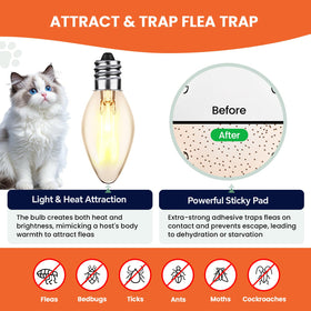 Nacoman LED bulbs powering the indoor flea trap for consistent attraction