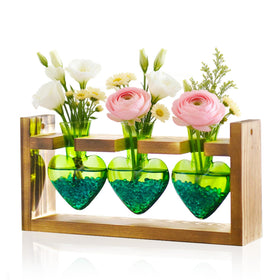 Nacome heart-shaped glass propagation station for stylish indoor plant display