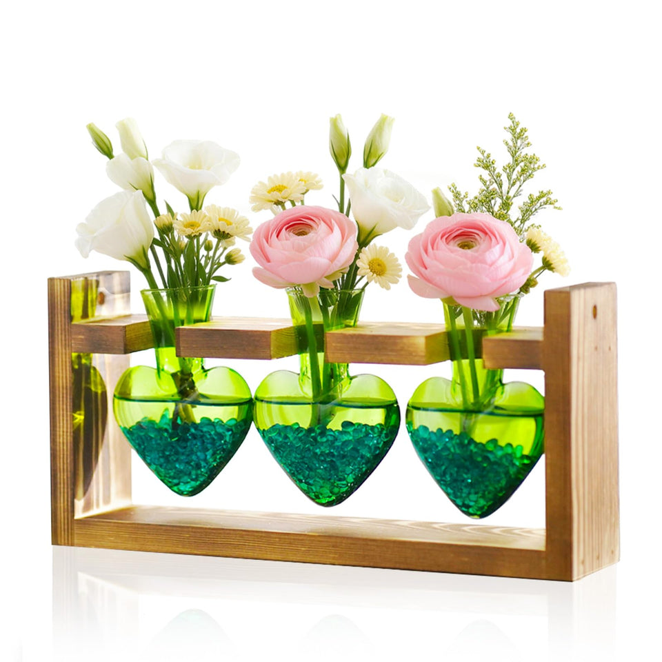 Nacome heart-shaped glass propagation station for stylish indoor plant display
