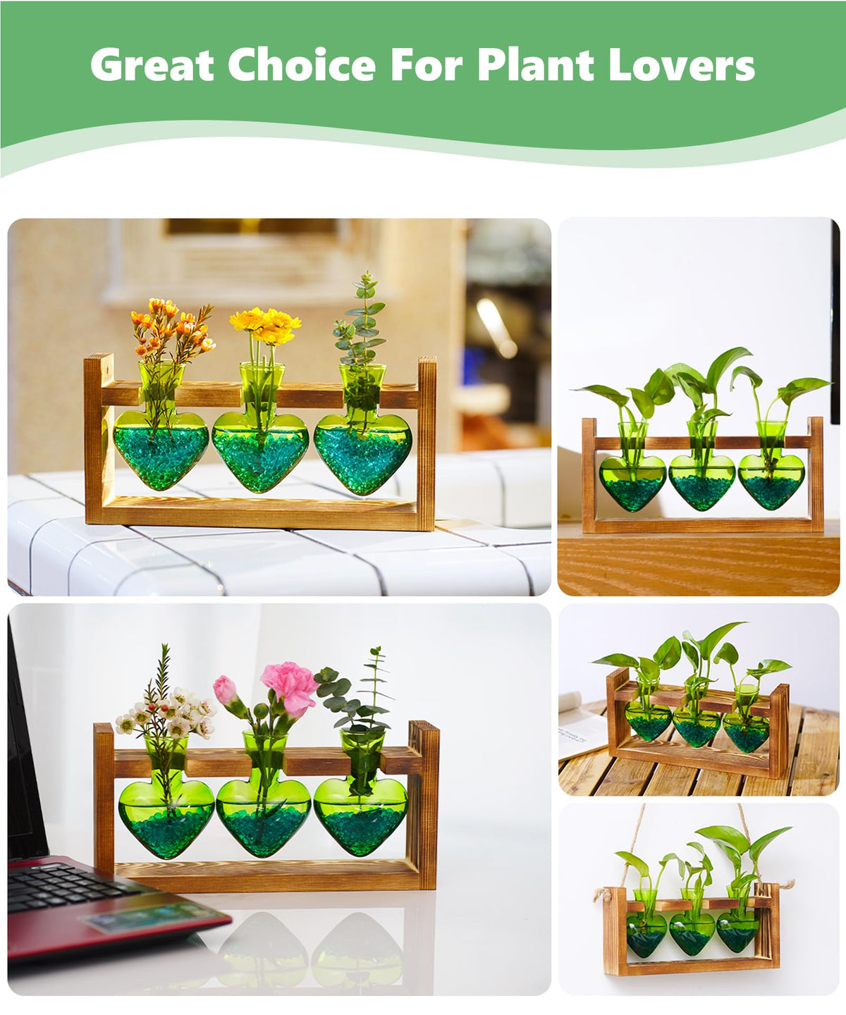 Nacome terrarium supports hydroponics and decorative plant displays