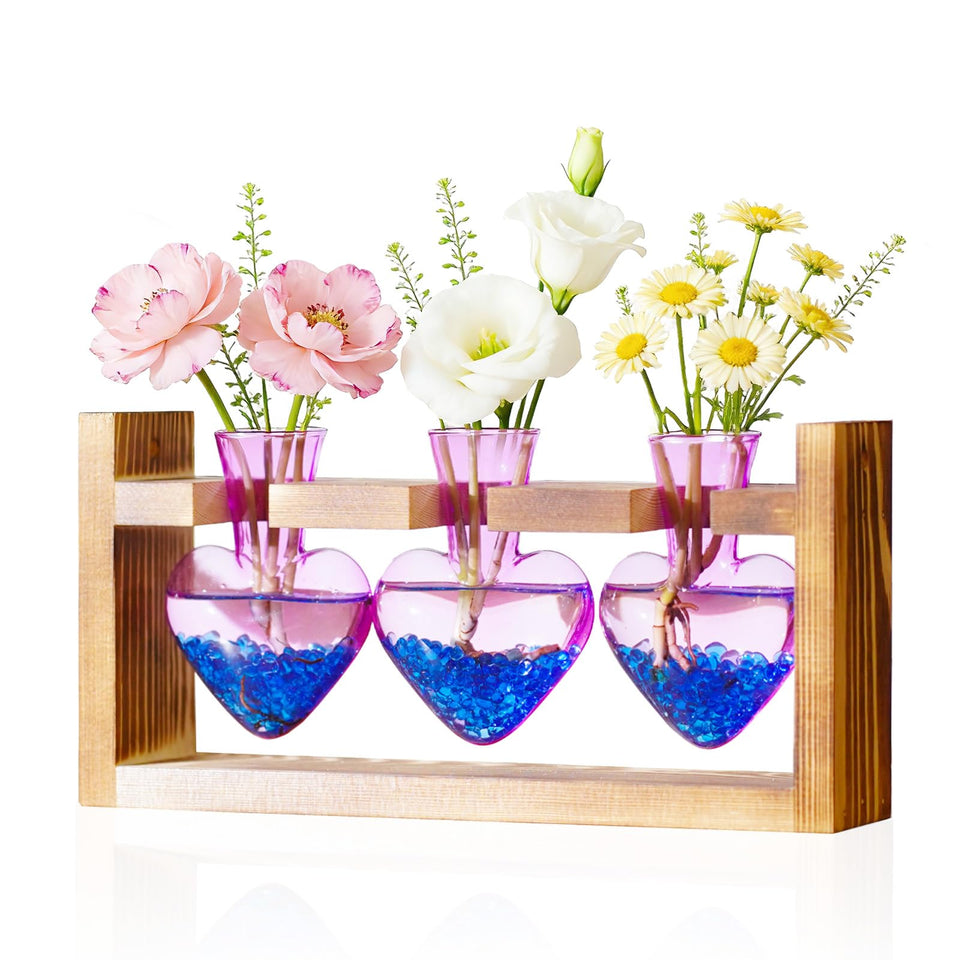 Nacome plant terrarium with 3-bulb glass vase and wooden stand for stylish tabletop display