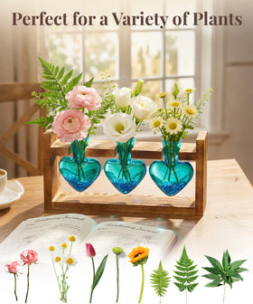 Nacome propagation station highlights hydroponic cuttings in decorative form.