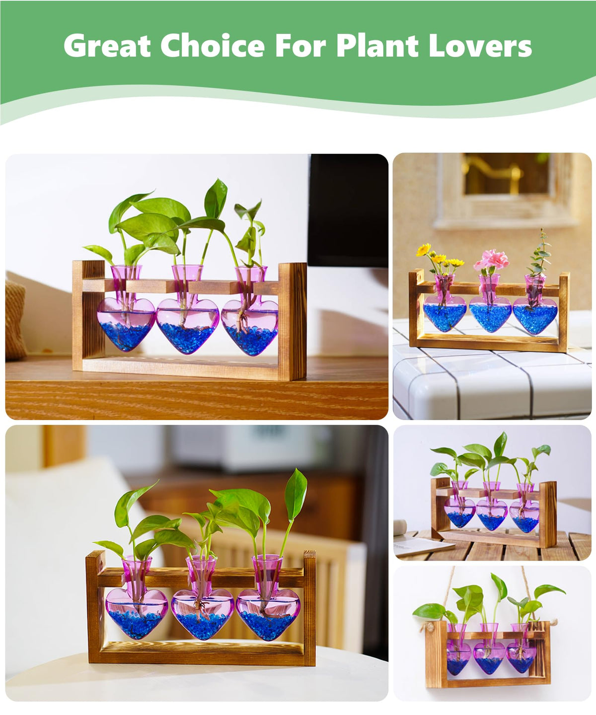 Nacome sturdy pine wood stand elevates the glass vases securely
