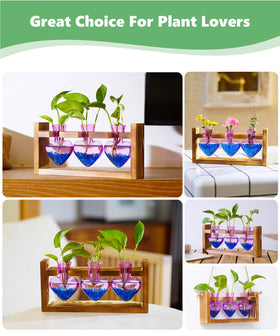 Nacome sturdy pine wood stand elevates the glass vases securely