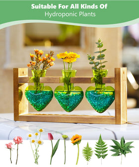 Nacome three-bulb glass vase ready for hydroponics or cuttings
